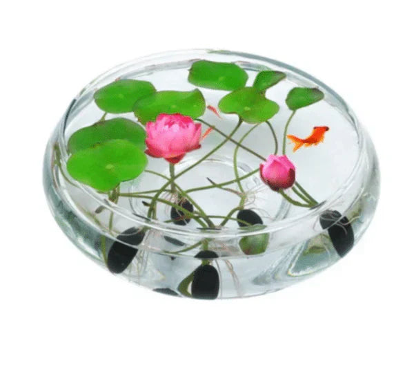 Enchanting Lotus Blossom Seeds